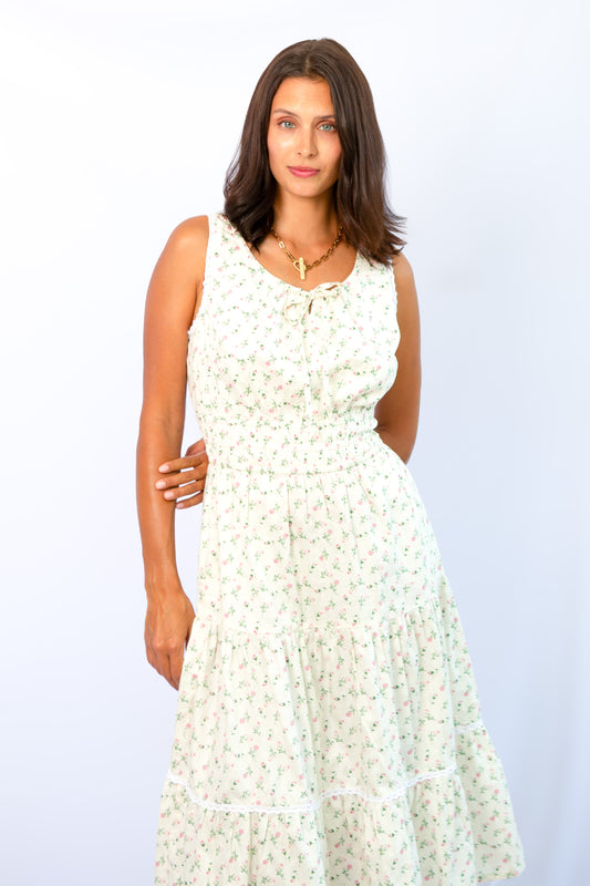 Bianca Daydream Dress Cloud Rose